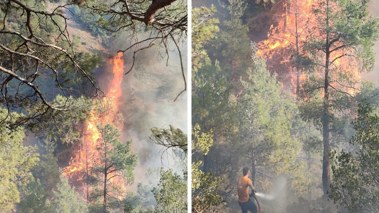 Hatay'da orman yangını