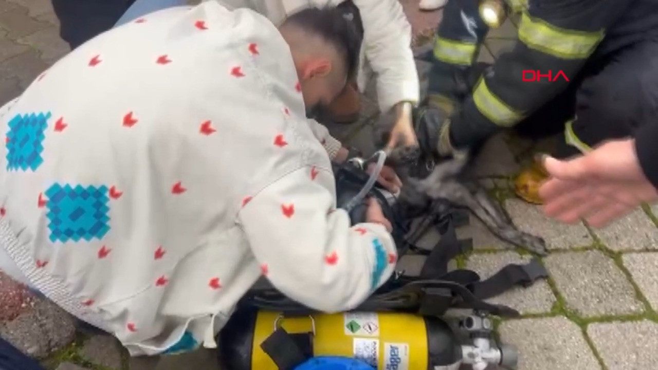 Yangında köpeklerden biri öldü, diğeri kalp masajıyla kurtarıldı