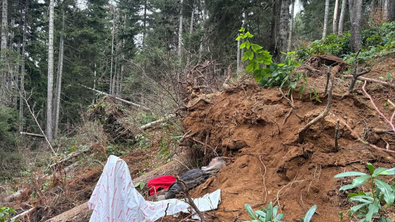 Kestiği ağacın altında öldü