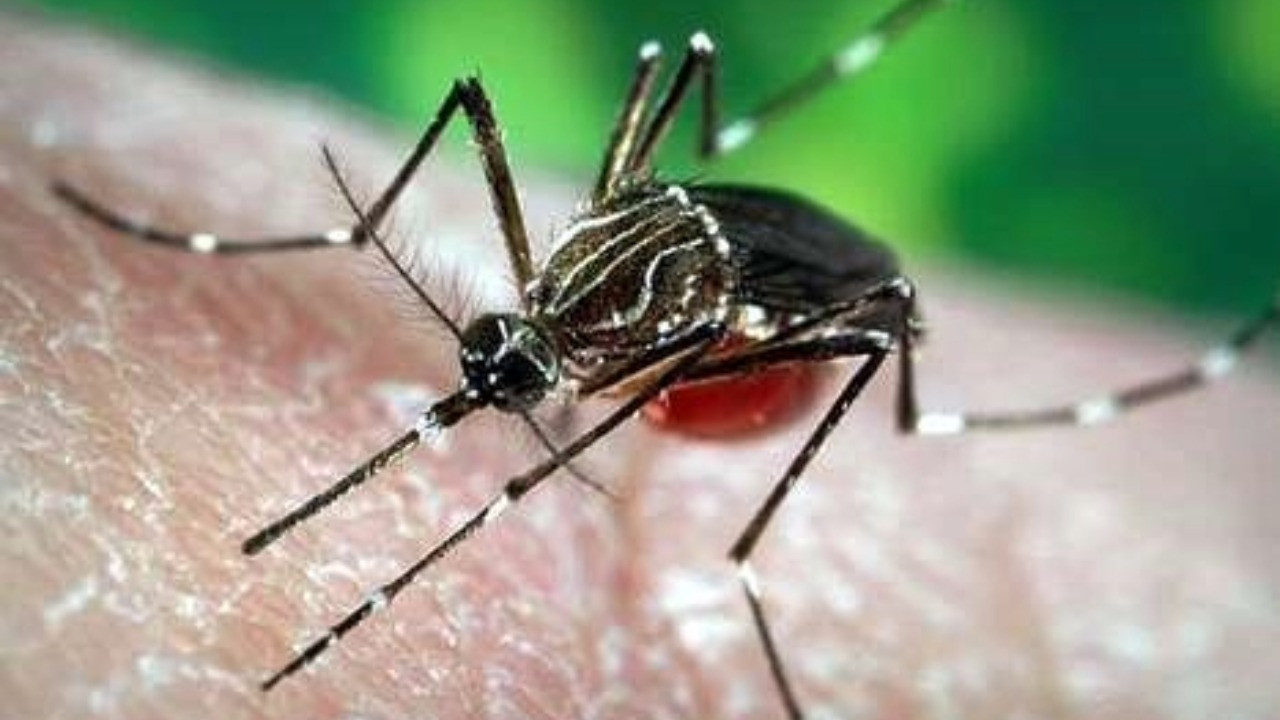 Uzman isim 'Önemli bir sorunumuz var' dedi: Türkiye'ye yerleştiler