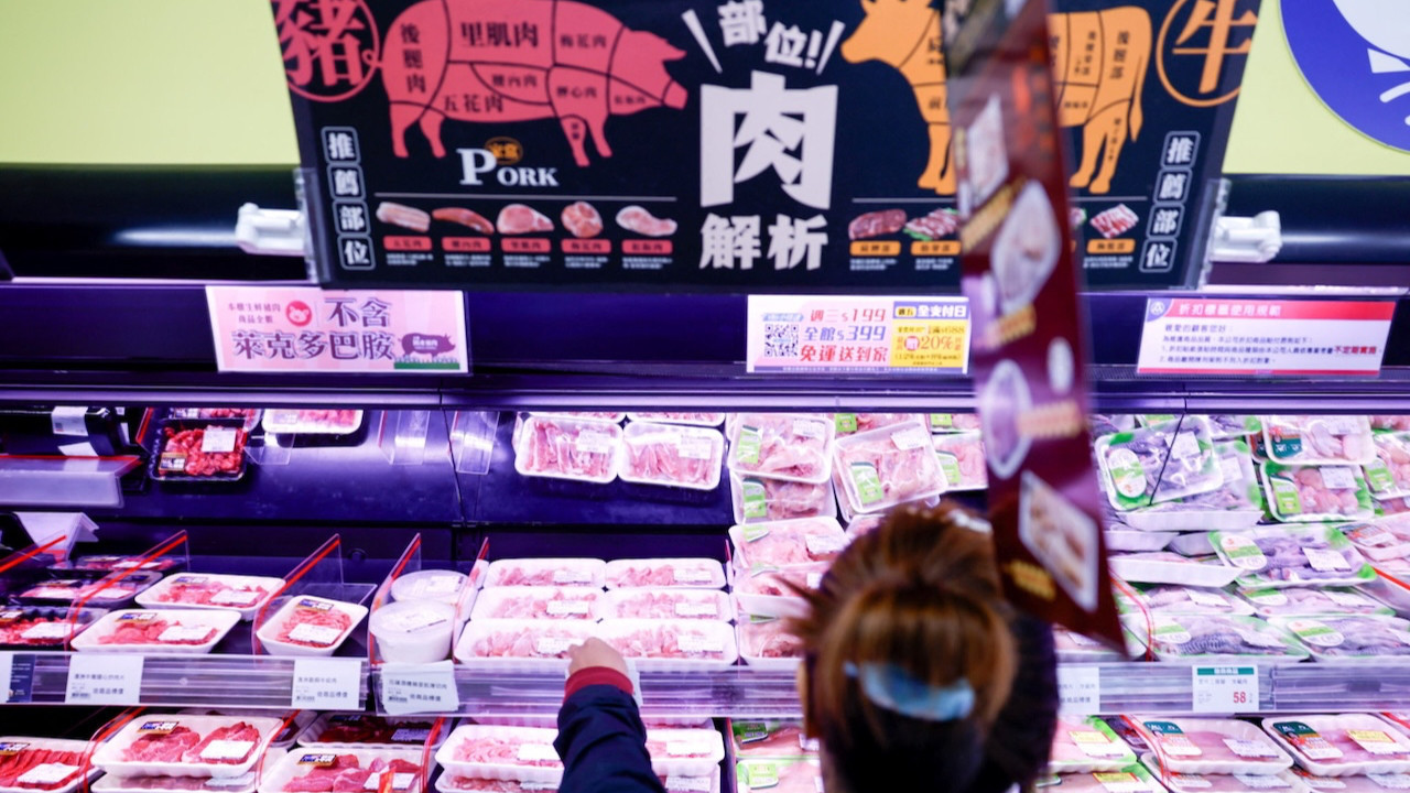 İspanya'da domuz gribi paniği: Askerler gönderildi