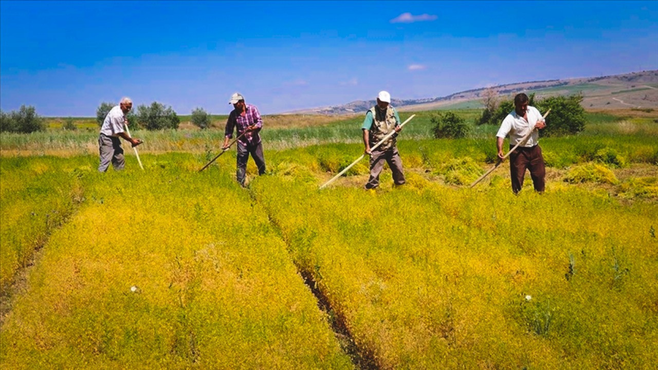 Son karara tepki büyük: Kapı kapı dolaşıp arıyoruz iyi mi