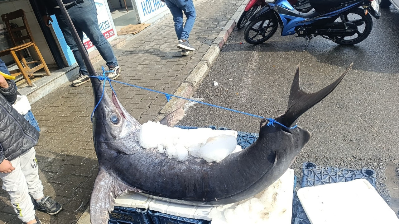 Tezgahta gören bir daha baktı: Tam 138 kilo