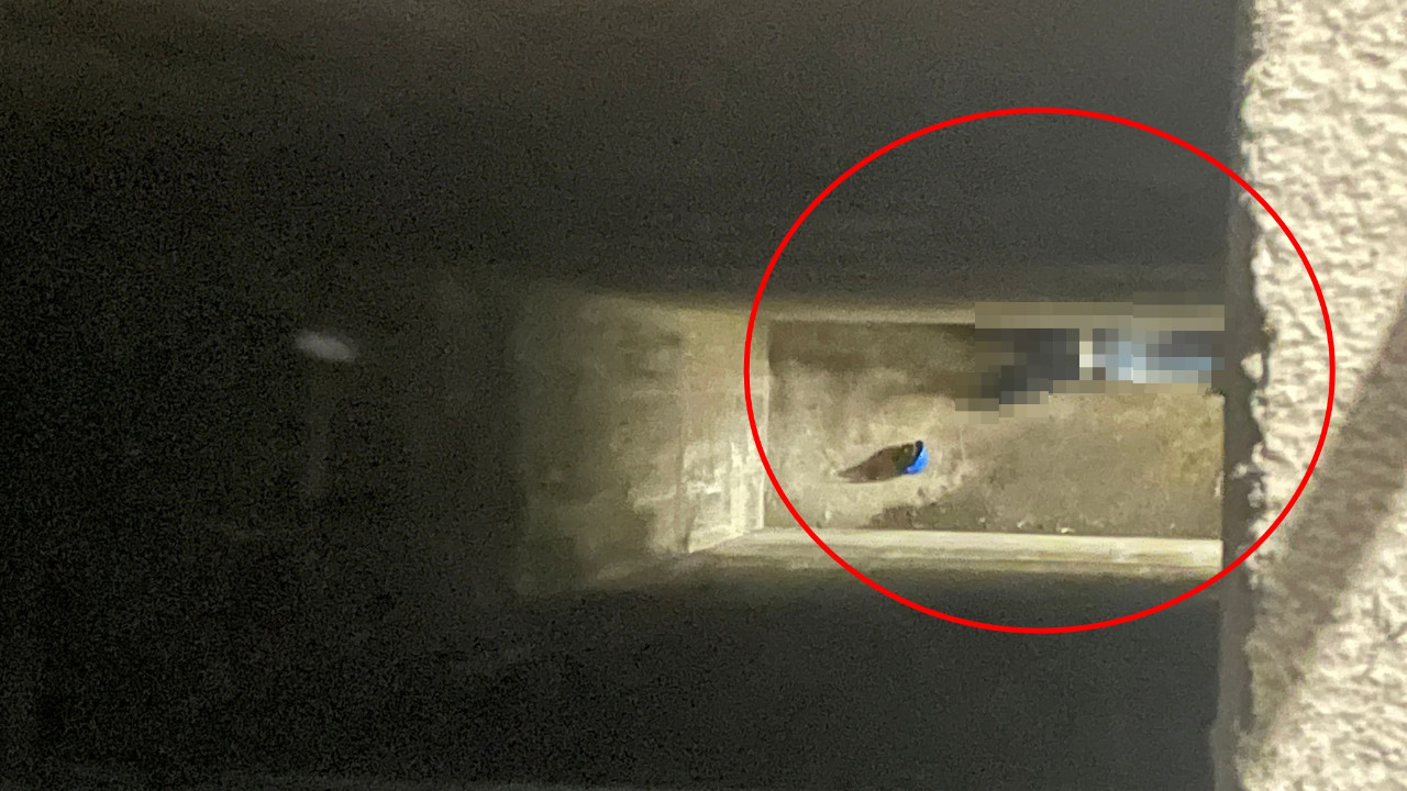 25 metreden düşüp öldü