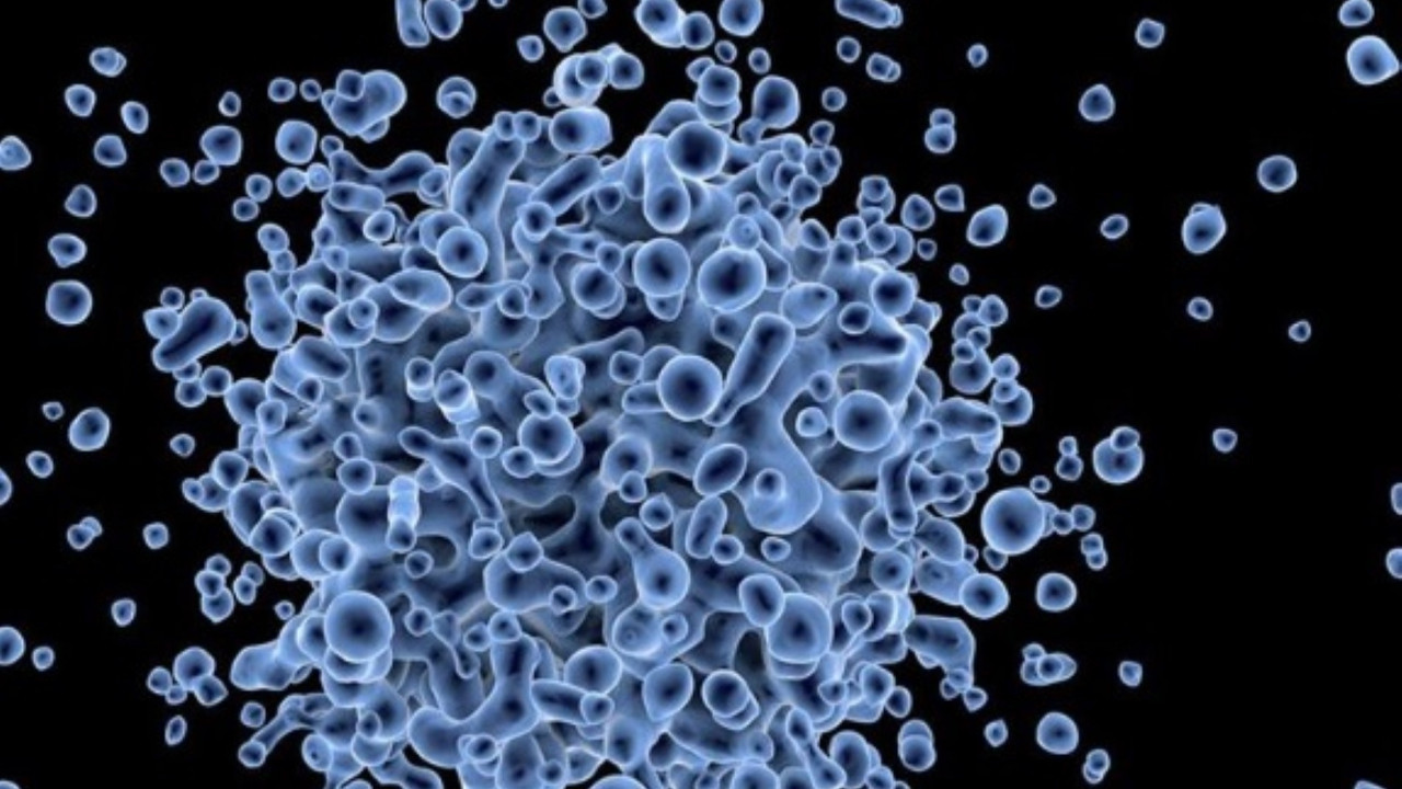 Yeni sağlık krizi: Yaygın enfeksiyonda ilaç direnci artıyor