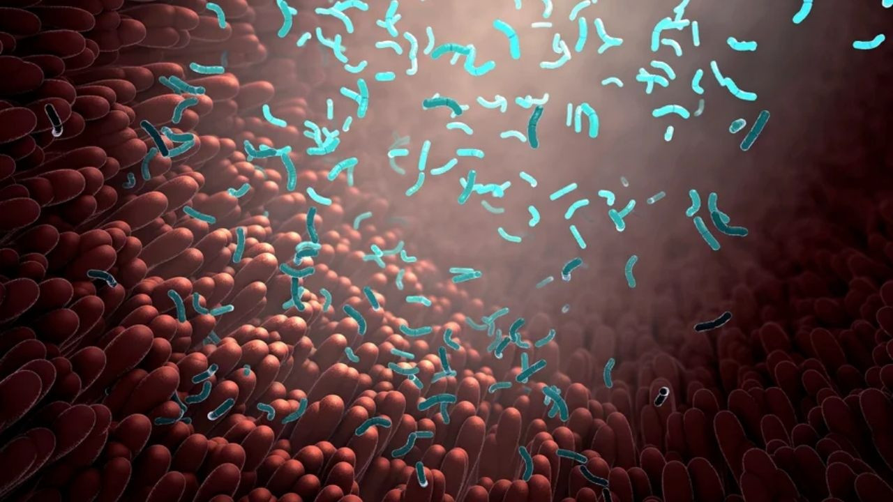 Bağırsaklarınız zehirleniyor mu? Yeni araştırma tehlikeyi açığa çıkardı