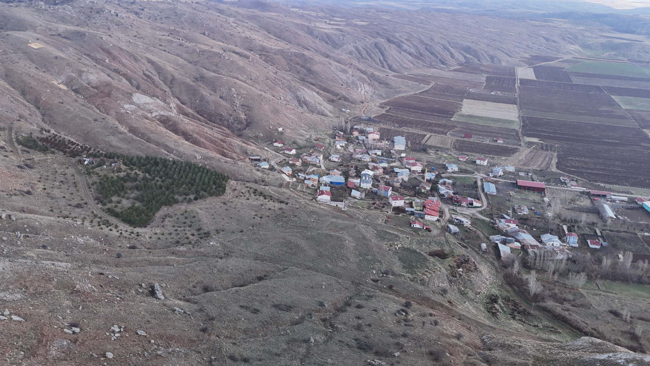 Yıllar önce gölgelenecek ağaç yoktu, şimdi ise ormanlık alana dönüştü