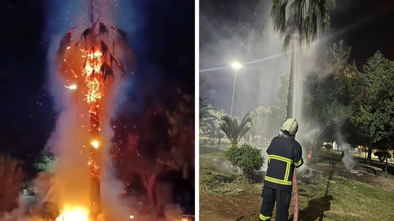 15 yılda yetişti, bir gecede yakıldı