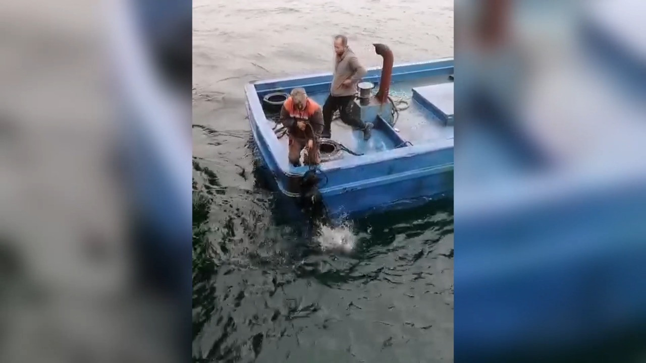 Denize düşen köpeği balıkçılar kurtardı