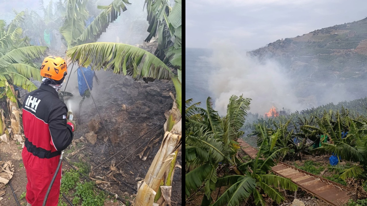 Muz bahçelerinde yangın