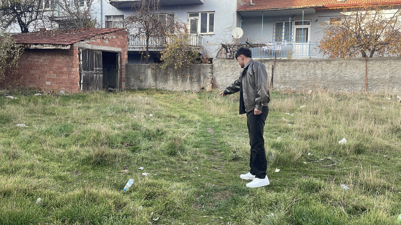 Vahşet: Arazide öldürülmüş kediler bulundu