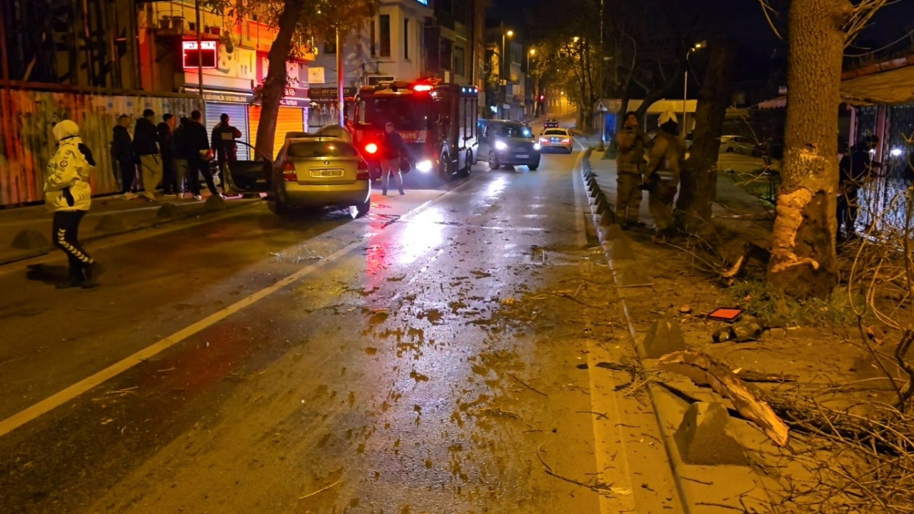 Virajı alamayan otomobil ağaca çarptı: Sürücü ehliyetsiz çıktı