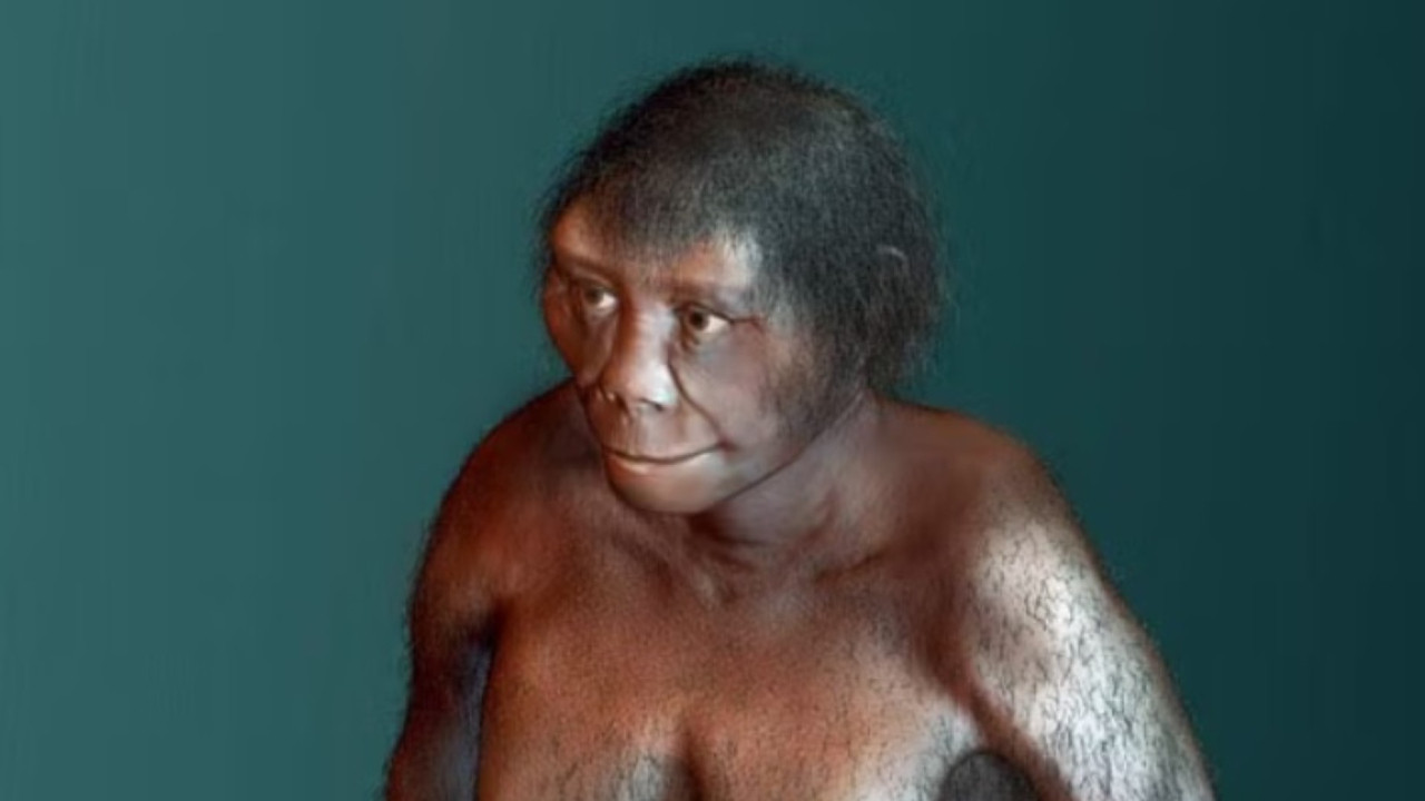 ‘Hobbitlerin' yok olma nedeni belli oldu