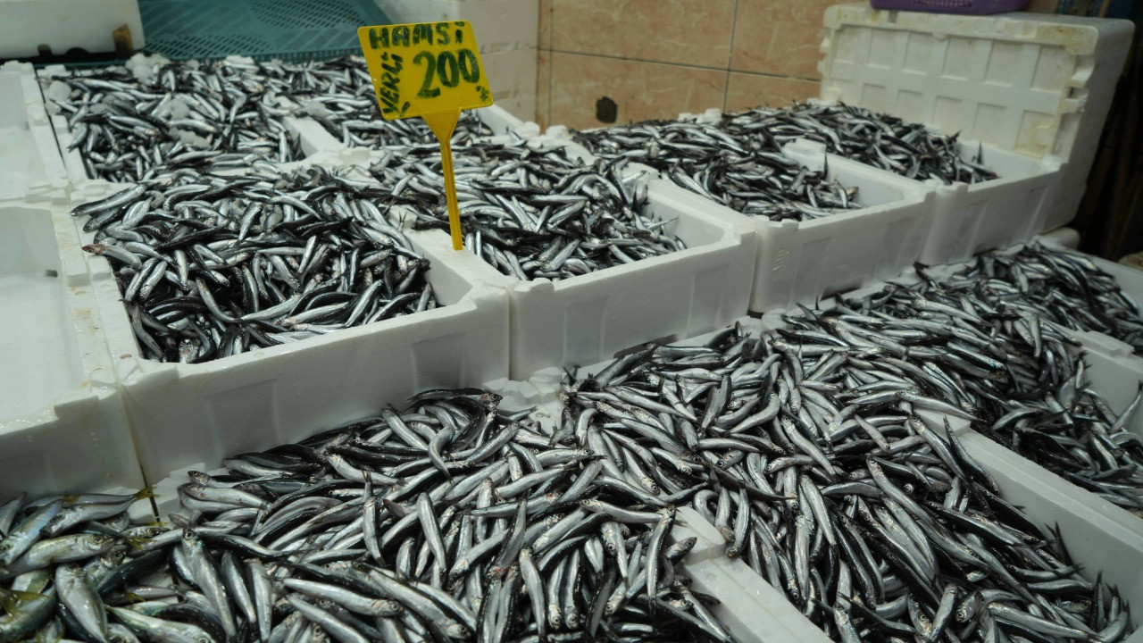 Hamsi fiyatları yeniden yükseldi