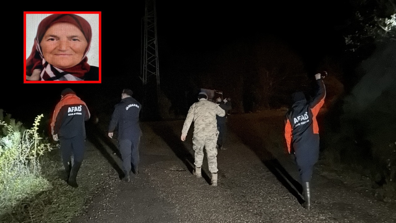 Ormanda defne yaprağı toplarken kaybolan kadın aranıyor