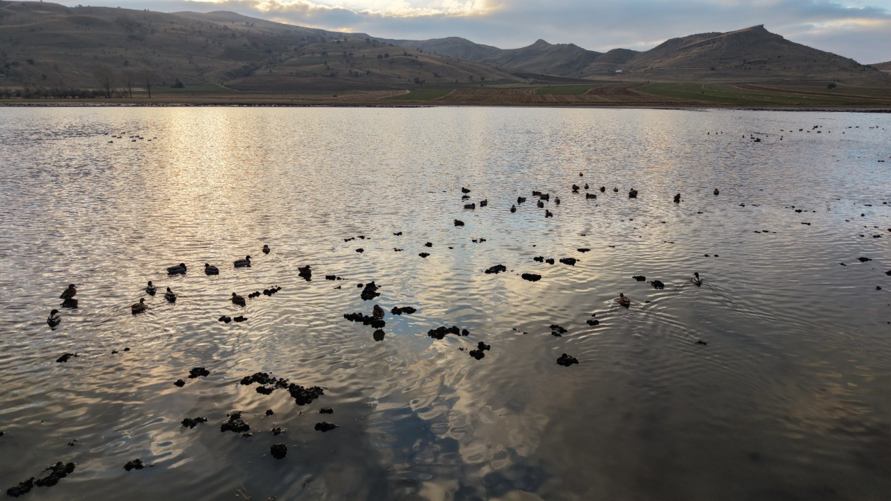 Kuşlar bile terk etmişti: Göl yeniden hayat buldu
