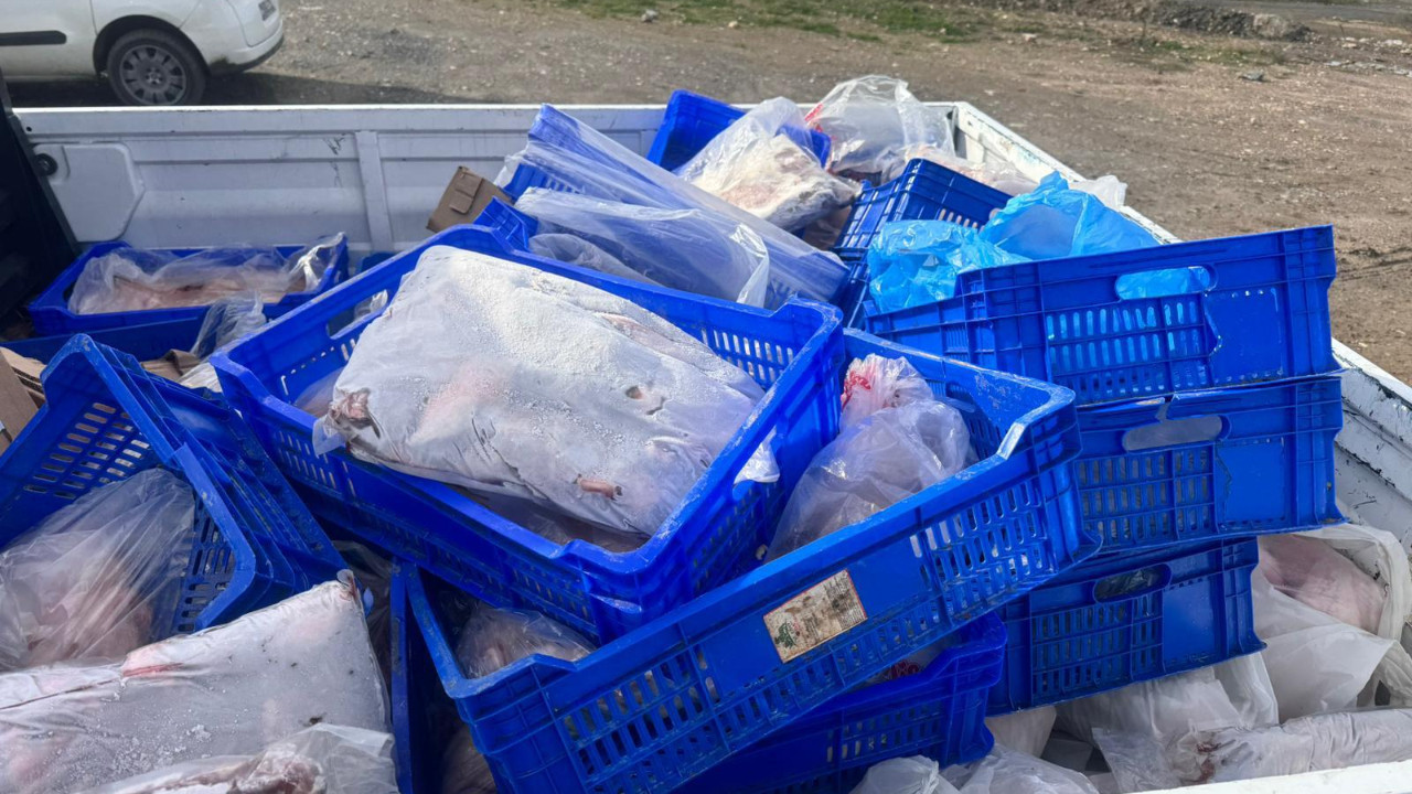 Yüzlerce kilo et imha edildi