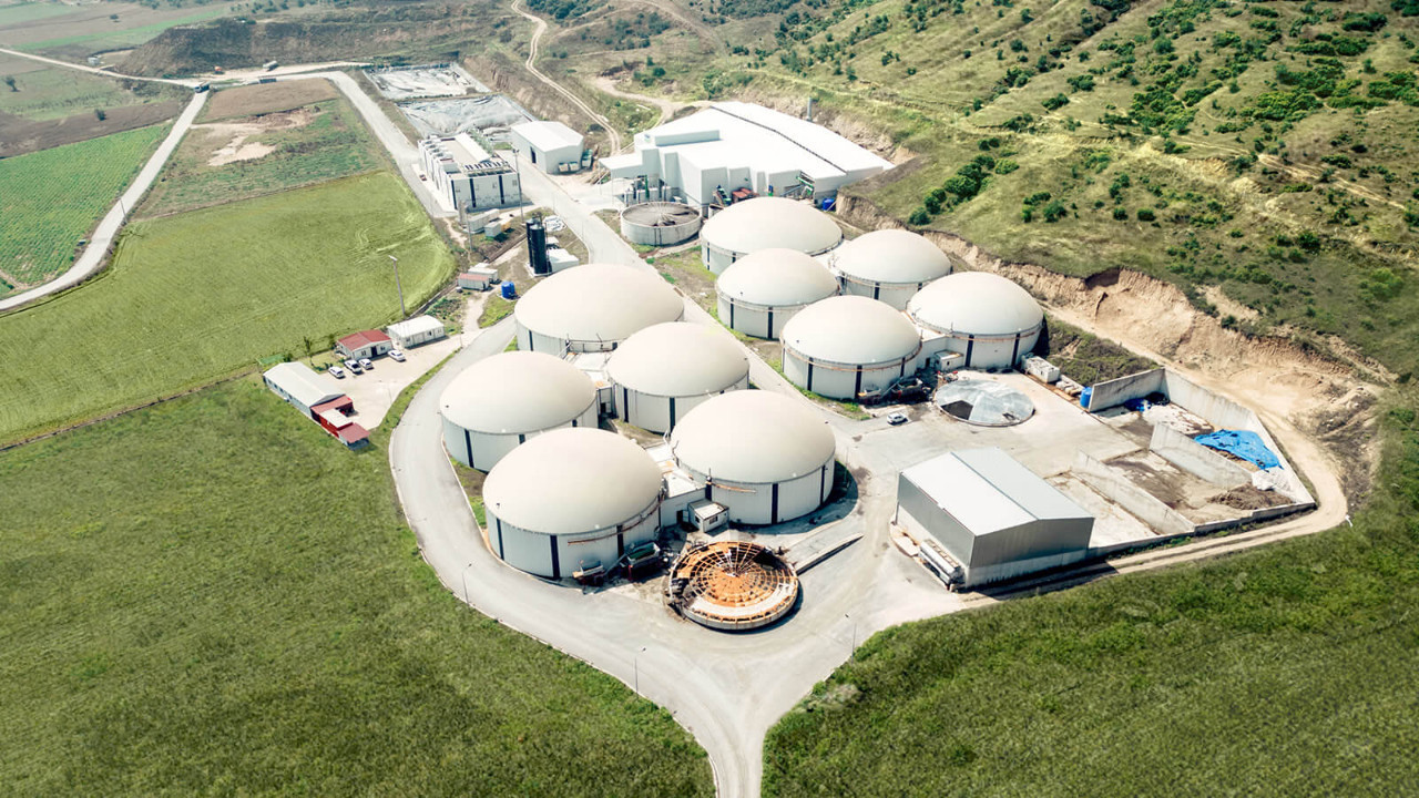 ARF Bio halka arz oluyor