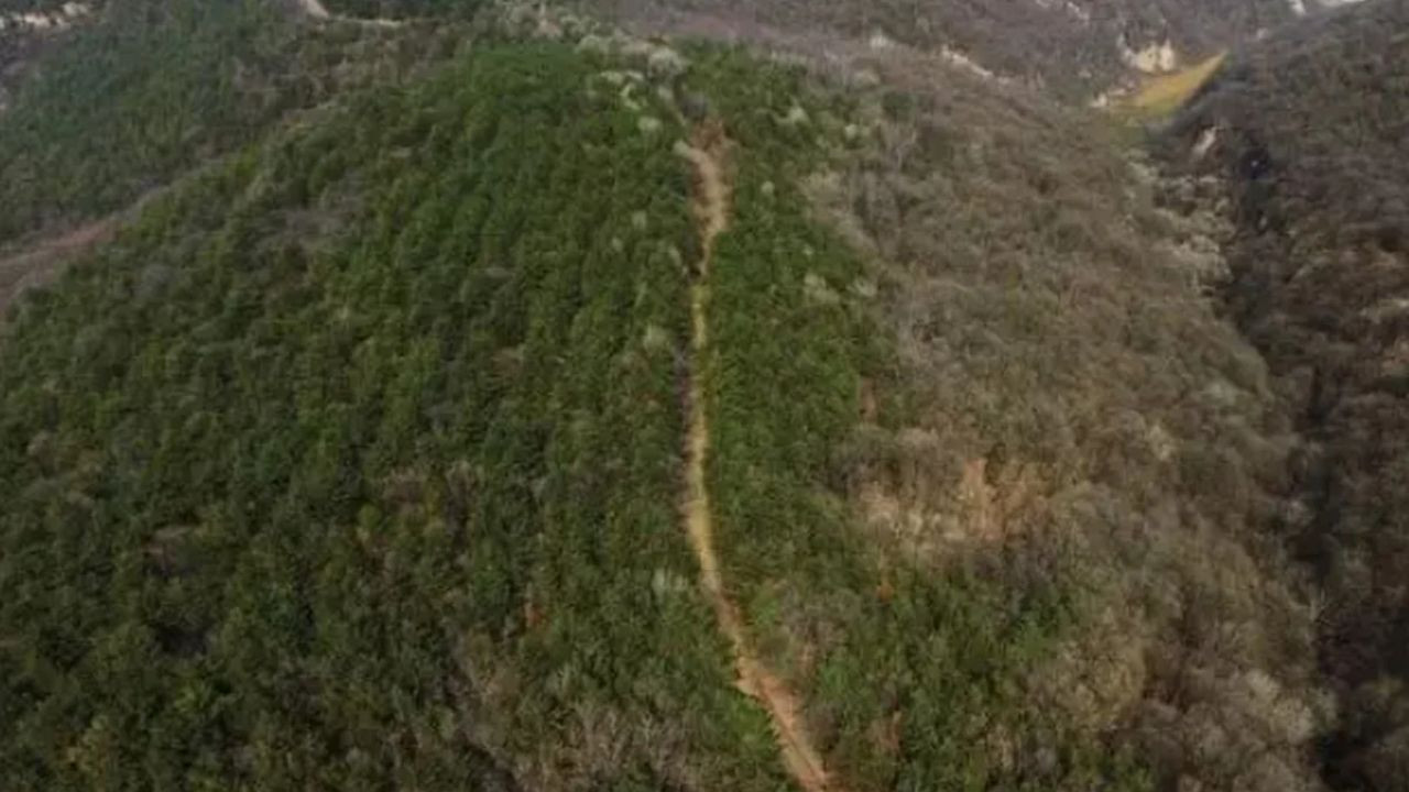 Arkeologlar 2200 yıllık antik yolu keşfetti