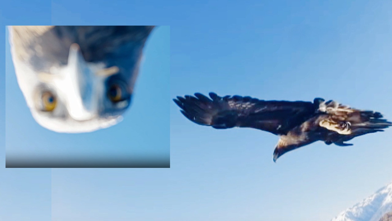 3 bin rakımlı dağda uçurduğu dronunu kartala kaptırdı