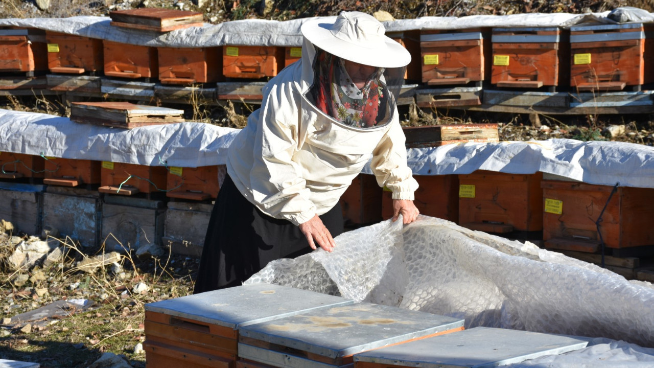 Arıcılıkla 5 çocuğuna üniversite okuttu