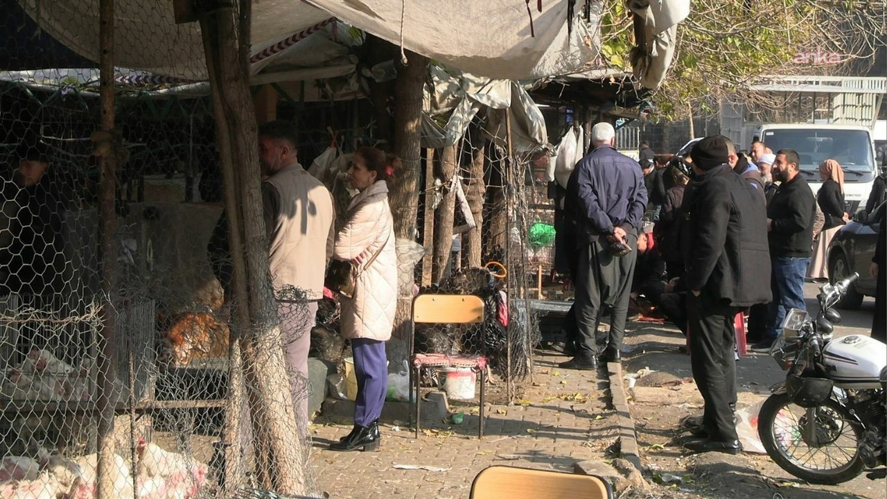 Dert yandı: Geçen sene günde 50 tane satıyorduk, şimdi 3-4