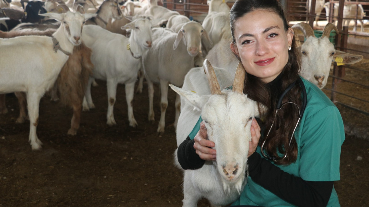 Hem araştırıyor hem para kazanıyor