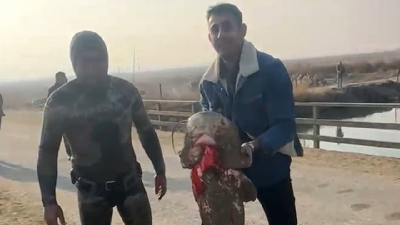 Elleriyle balık yakalıyor