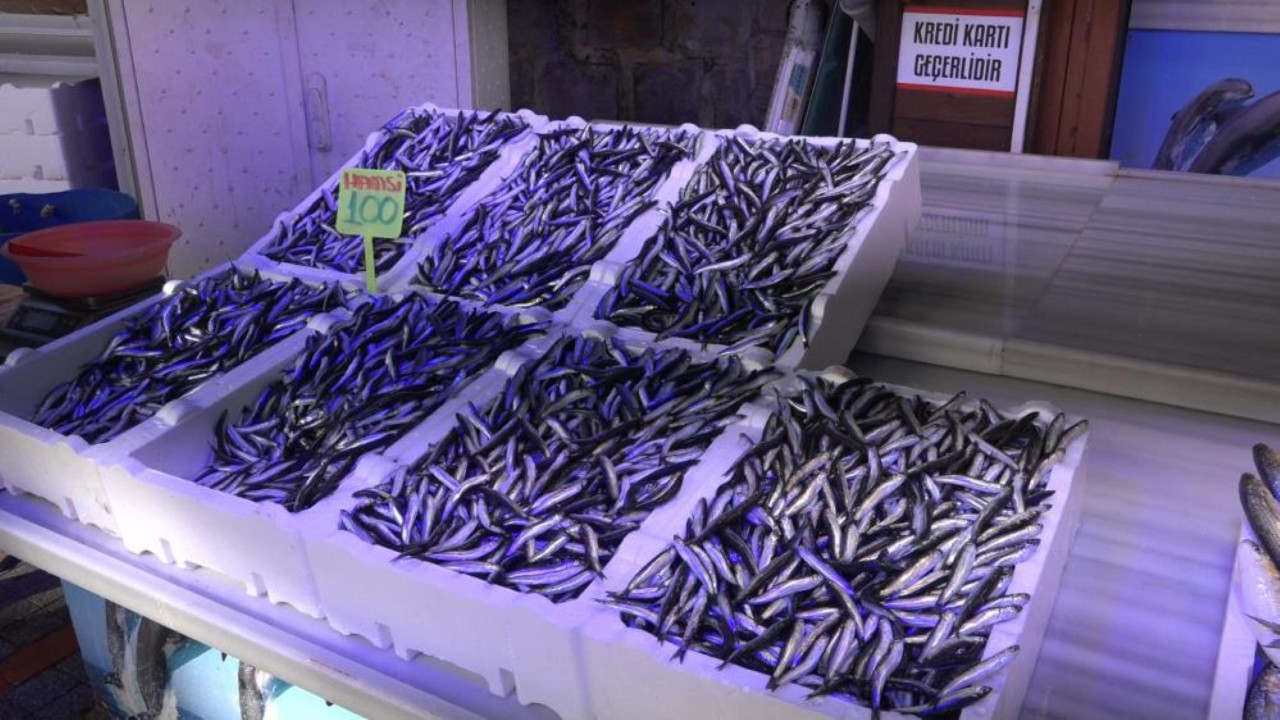 Gelecekte hamsiye hasret kalacağız