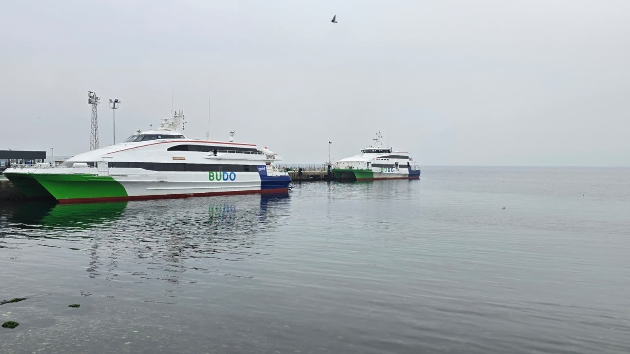 BUDO'nun 1 Ocak'taki iki seferi iptal edildi