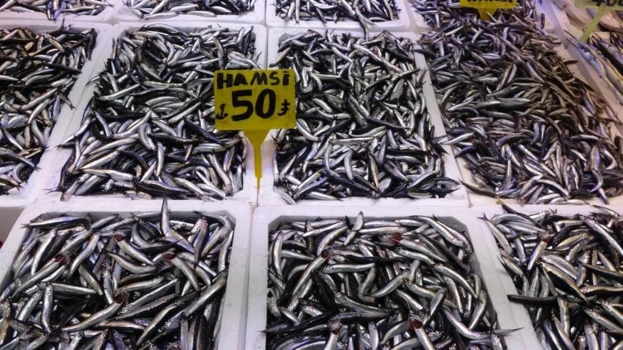 Hamsi Türk karasularını terk etti