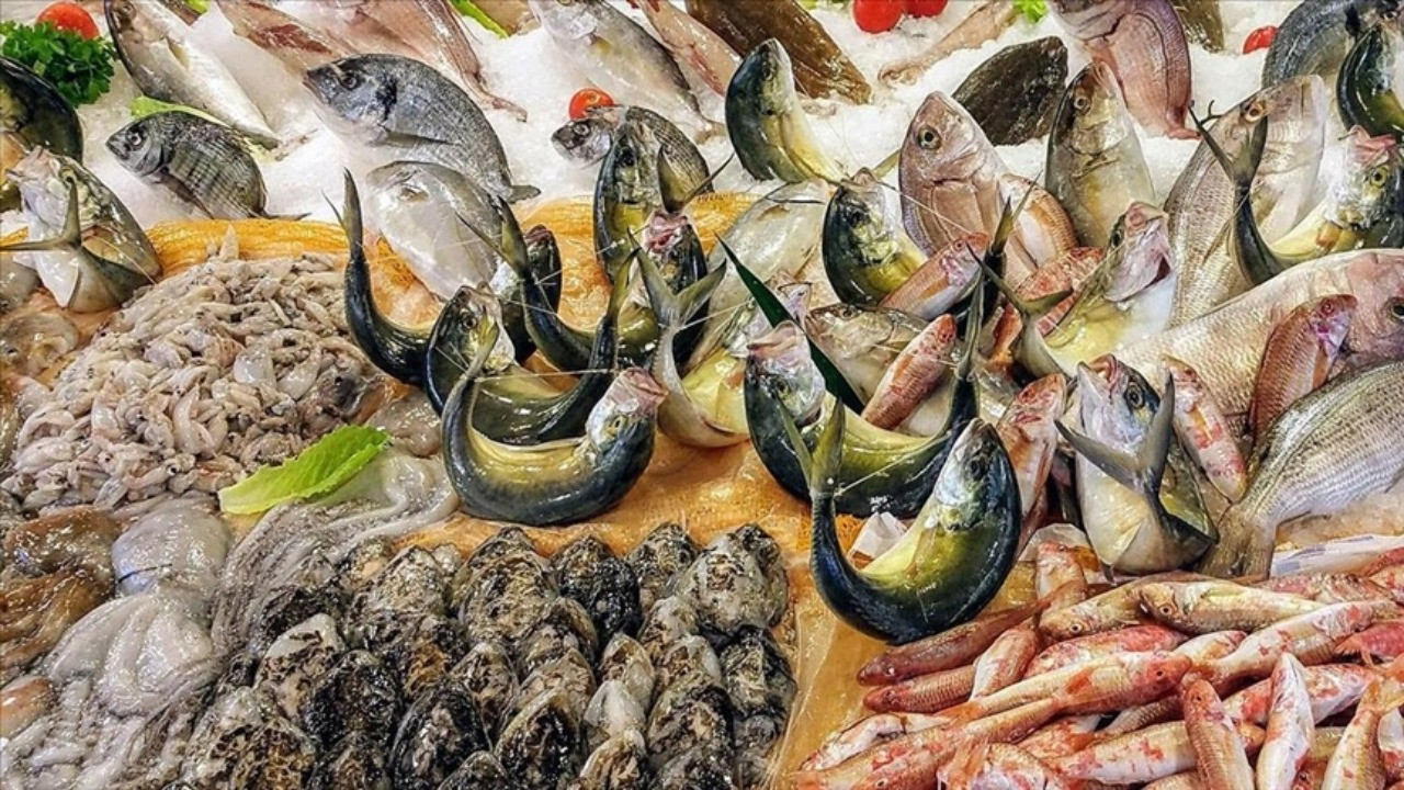 482 ton deniz ürününe el konuldu