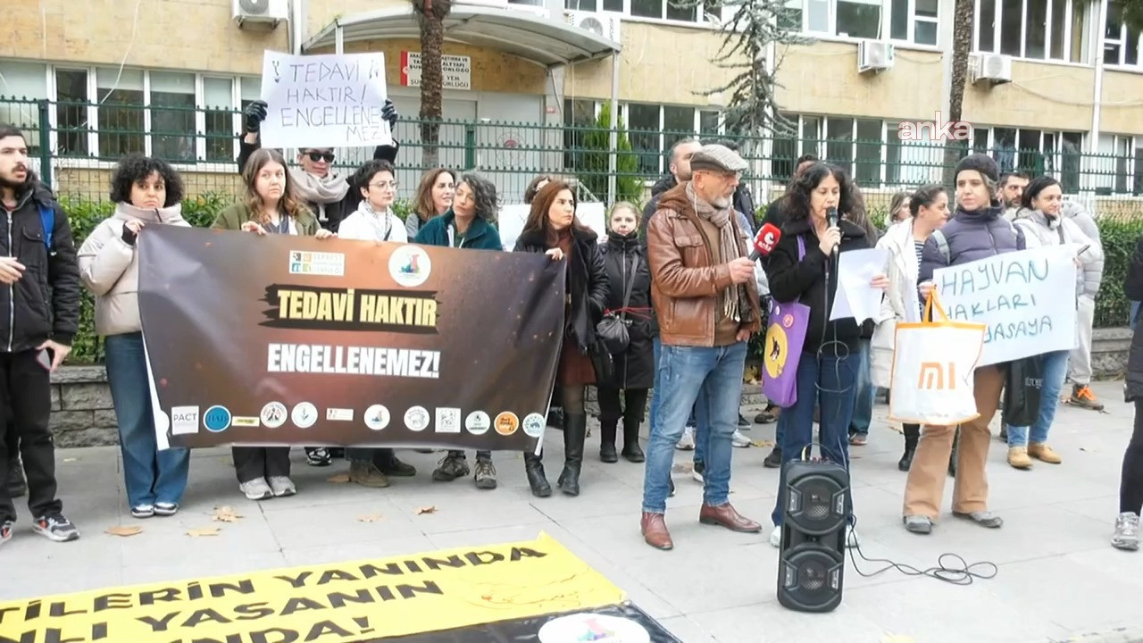 İlaç takibine veterinerlerden tepki: Bu bedeli herkes öder