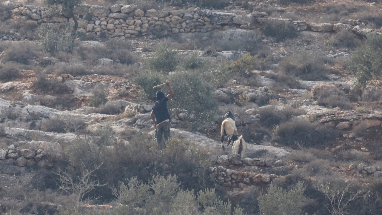 İsrail bir haftada 7 milyon dolarlık hasar verdi