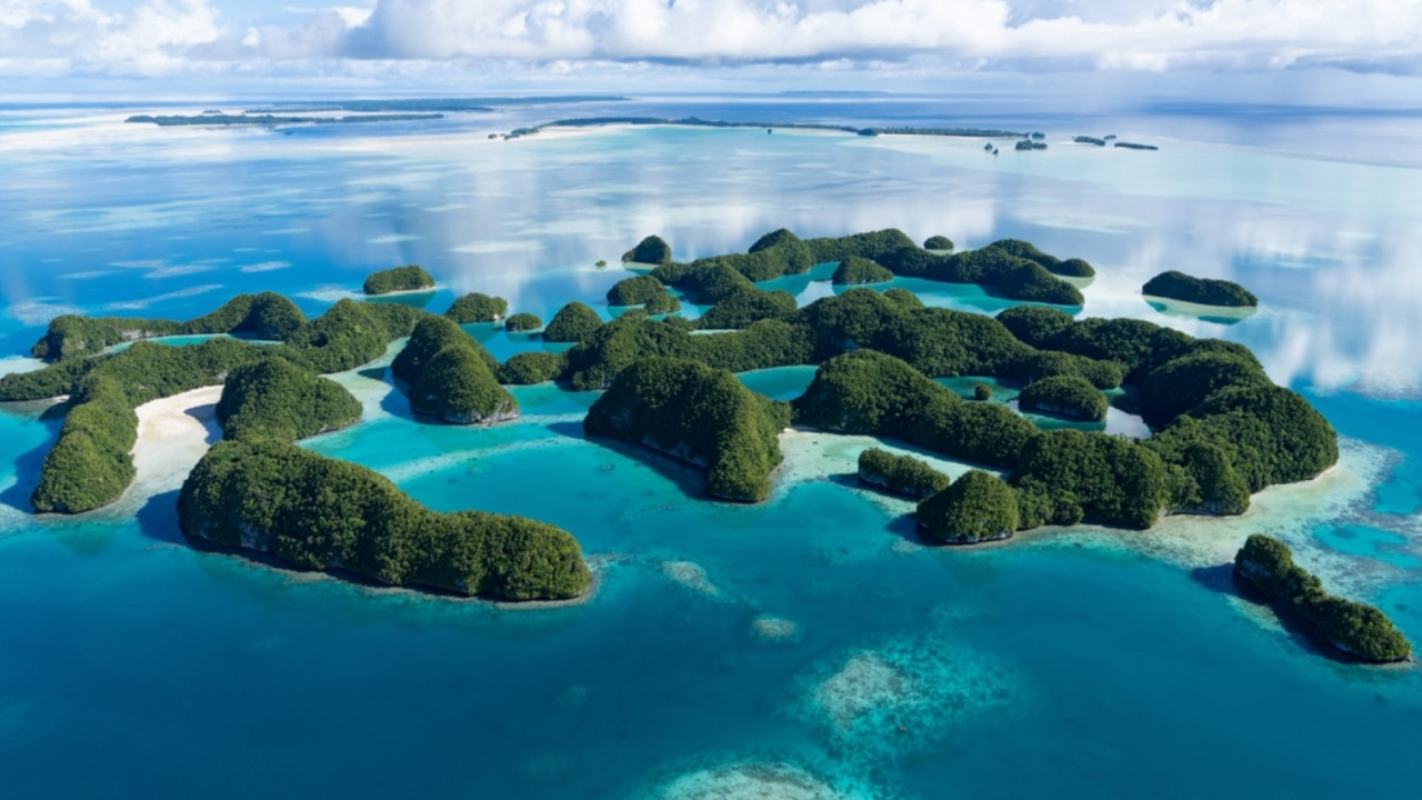 321 milyon TL'ye anlaştılar: Göçmenler 'Survivor' adasına gönderilecek