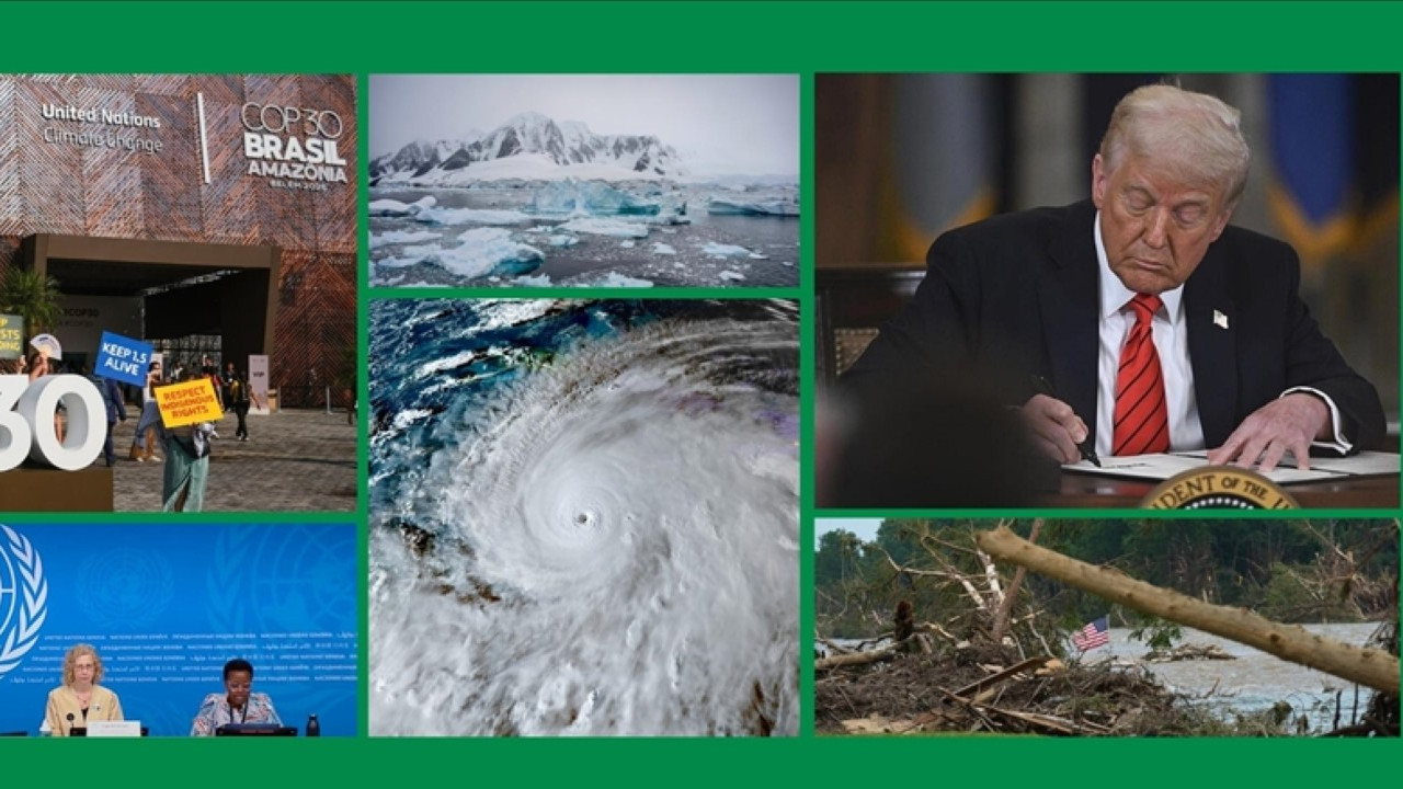 Dünyada çevre alanında 2025 böyle geçti