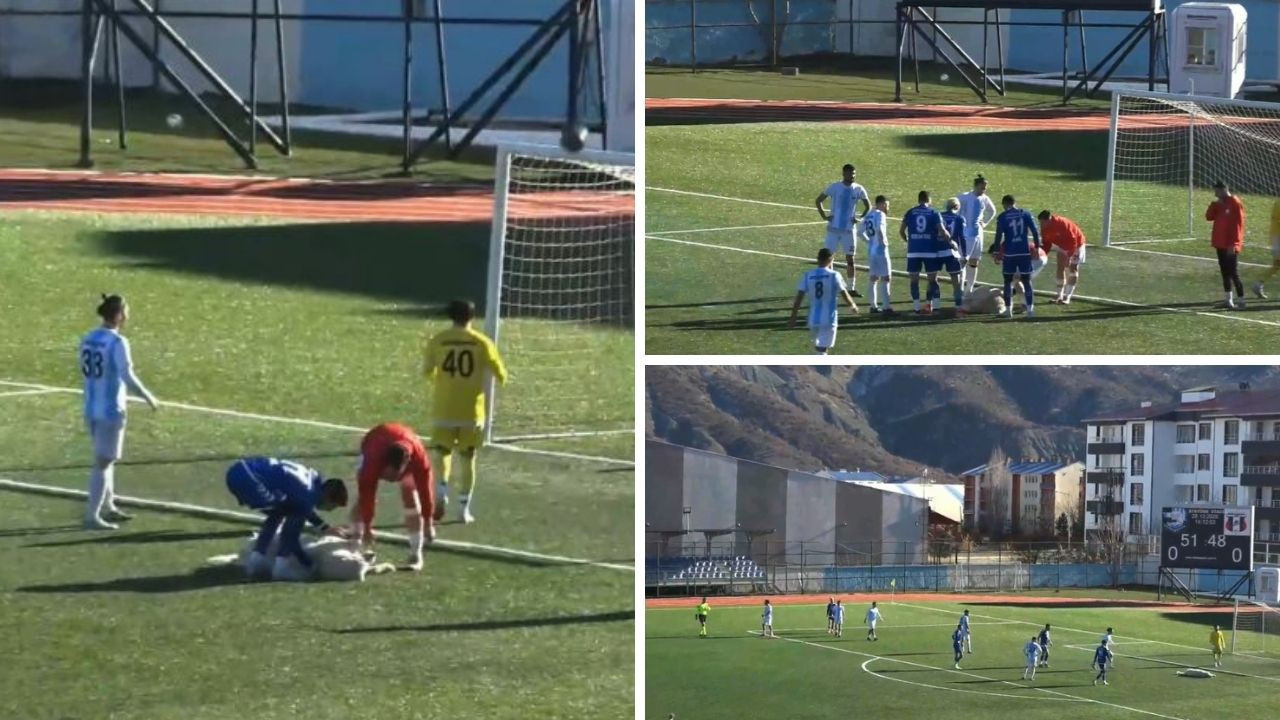 Maç oynanırken sahaya giren köpek uyuya kaldı