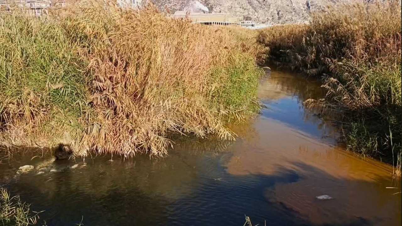 Nehir değil zehir akıyor: Büyük menderes siyaha döndü