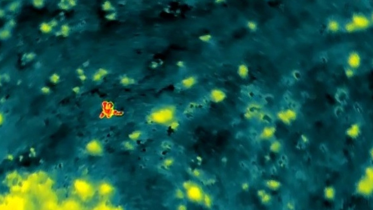 Saatlerdir aranıyordu, termal kamera buldu