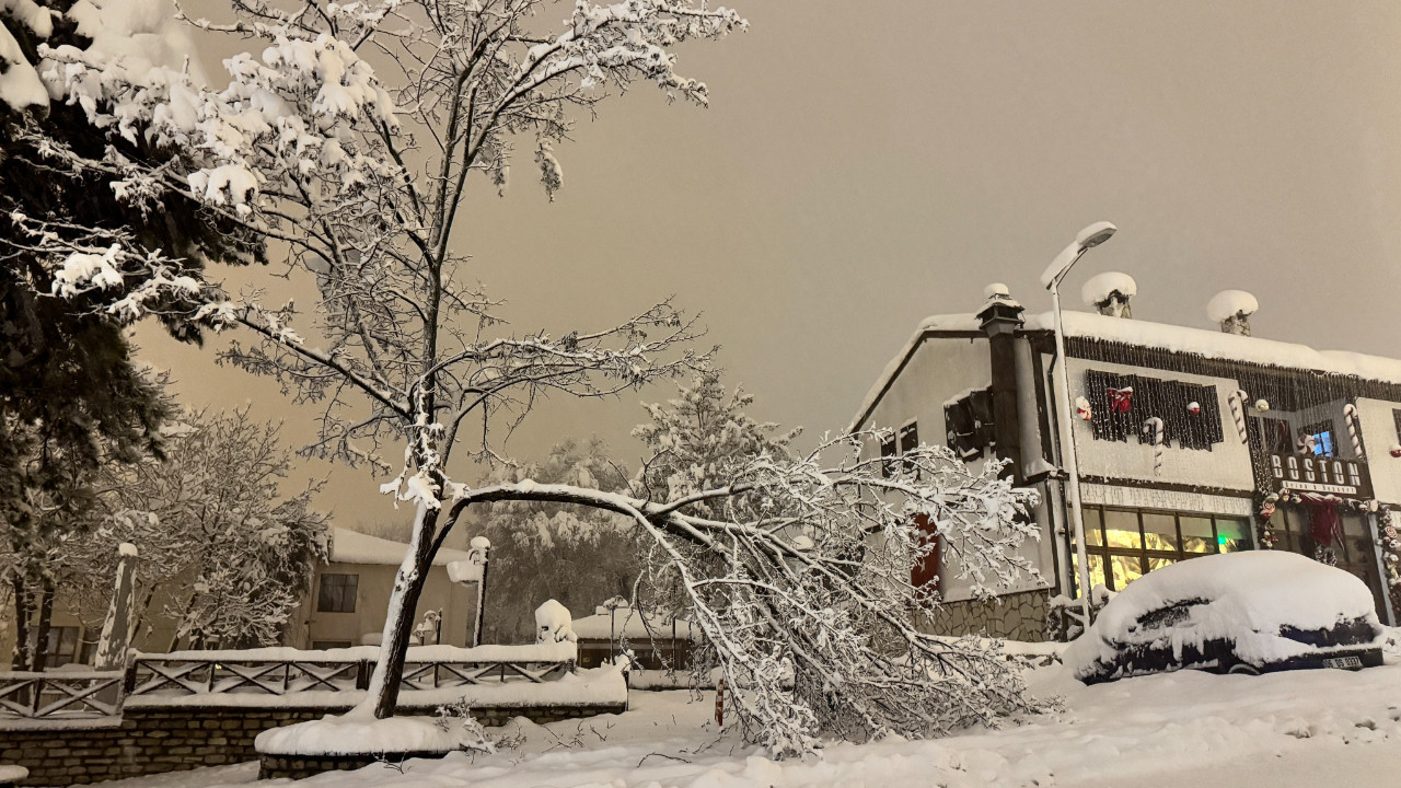 Karın ağırlığına katlanamayan ağaçların dalları kırıldı