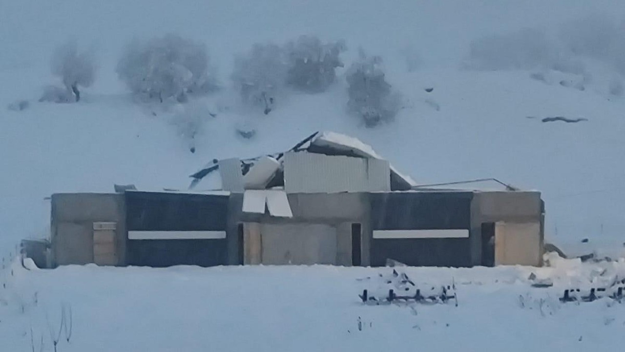 Karın ağırlığıyla 3 ahırın çatısı çöktü, çok sayıda hayvan öldü