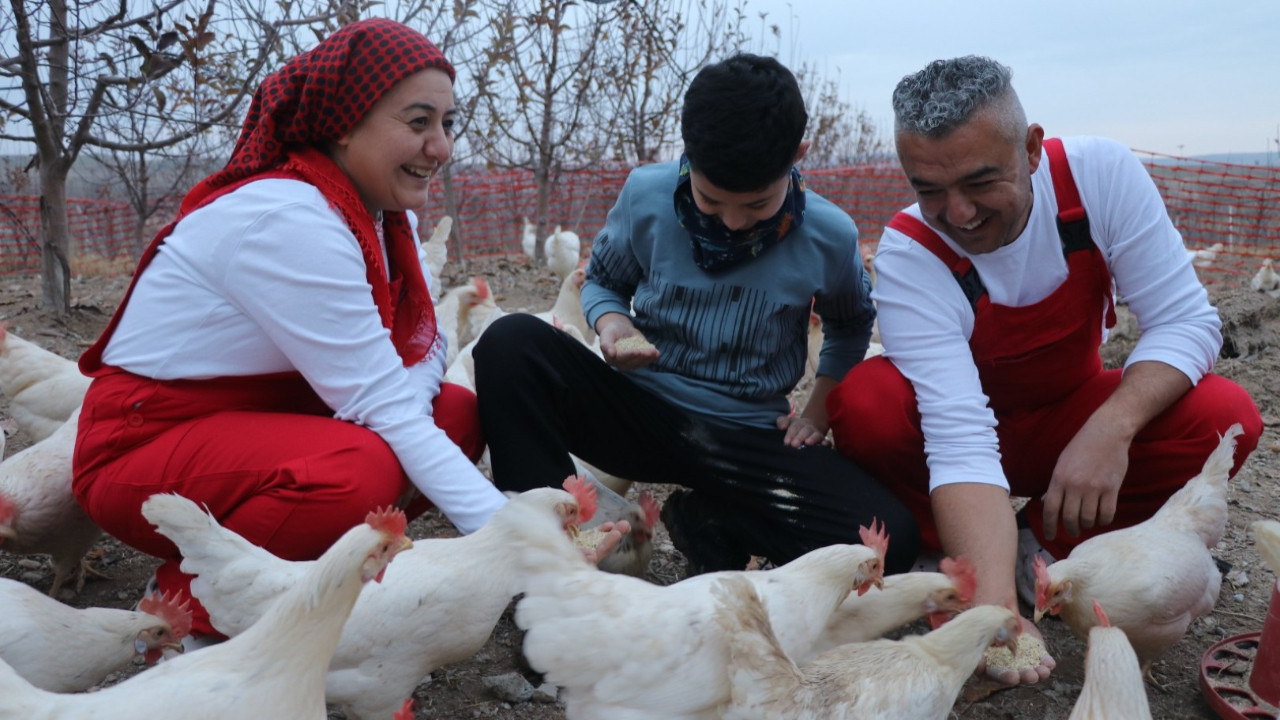 Memurluğu bırakıp köye yerleştiler
