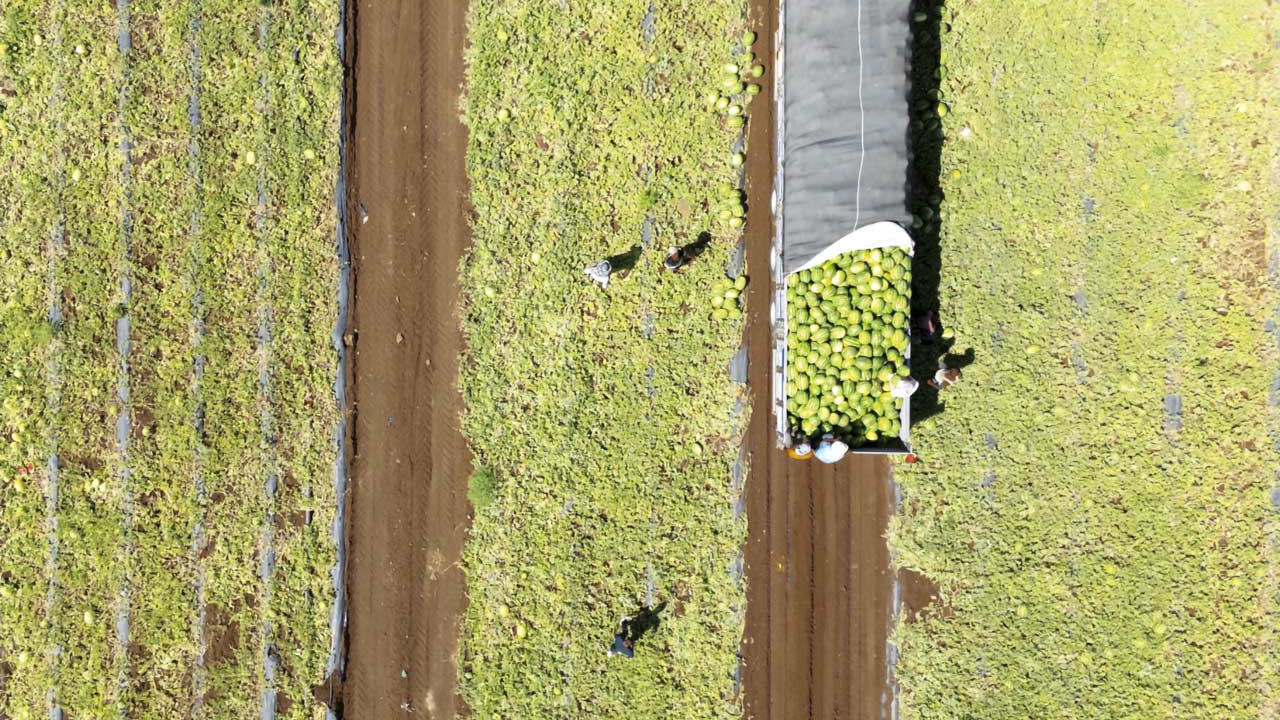 Tarımda 2026, zor bir yıl olacak