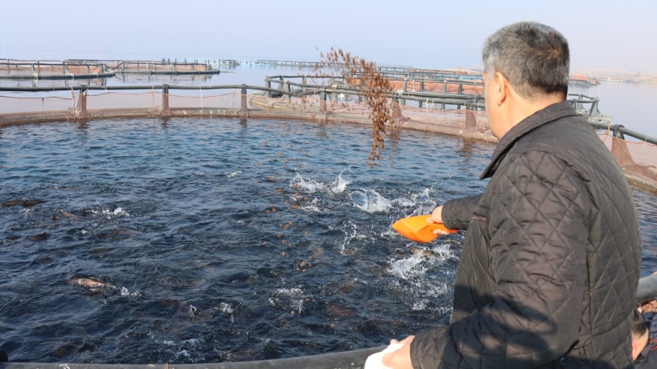 Nehirde üretip dünyaya satıyor: Yılda 5 milyon dolar