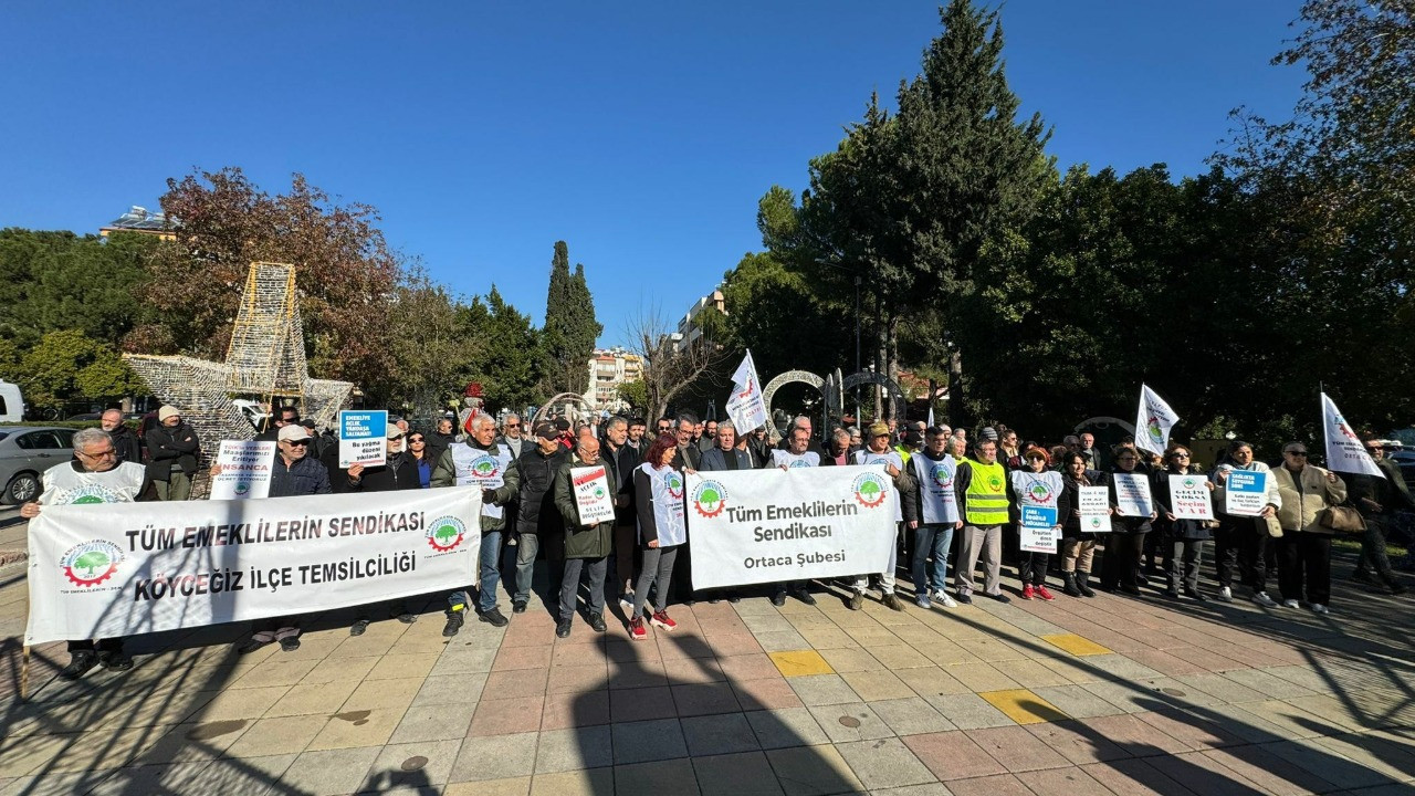 Tüm Emeklilerin Sendikası'ndan emekli maaşlarına karşı eylem