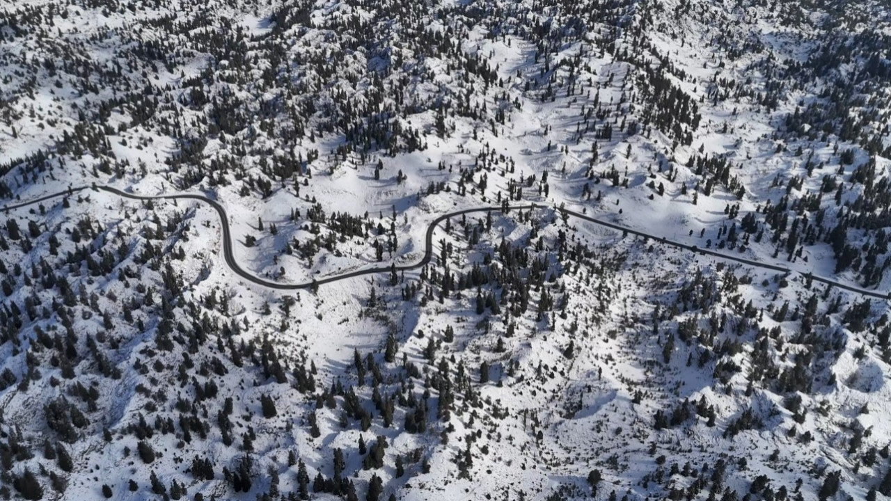 Mersin ormanlarında kartpostallık görüntüler