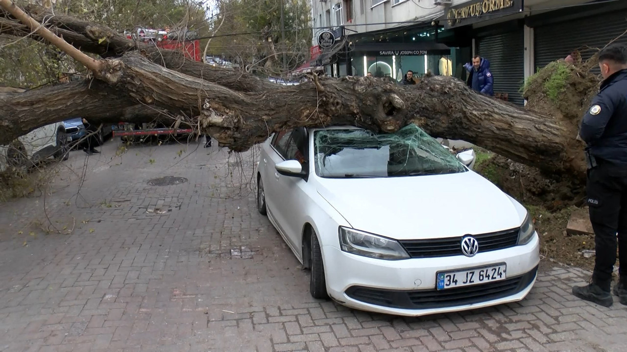 Meteoroloji alarm vermişti: İstanbul'da lodos etkisini artırdı! Ağacın altında kalmaktan saniyelerle kurtuldu