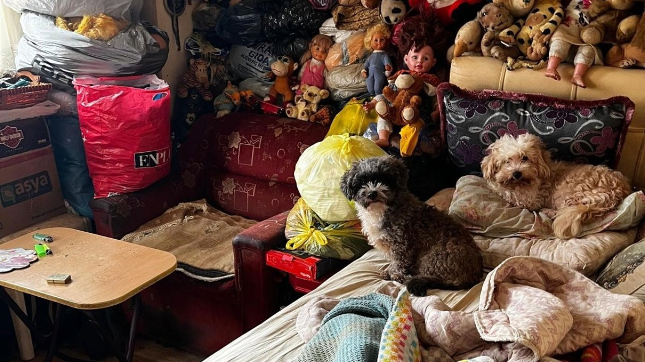 Bir evden 38 köpek, 17 kedi çıktı