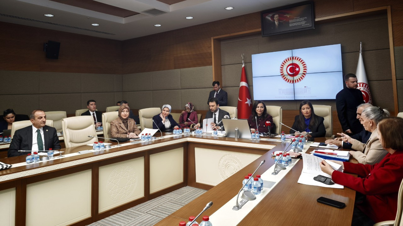 Meclis'te suça sürüklenen çocuklara ilişkin araştırma komisyonu toplandı