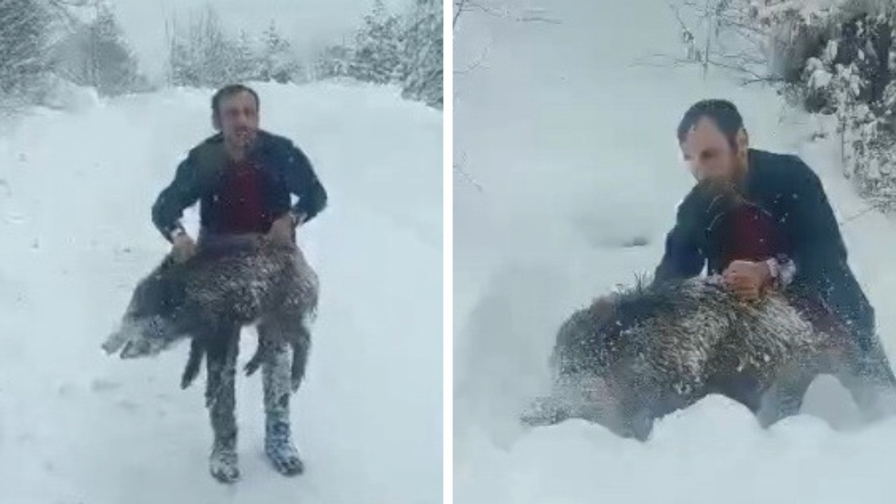 Elle domuz yakalamıştı: Kimseye önermiyorum